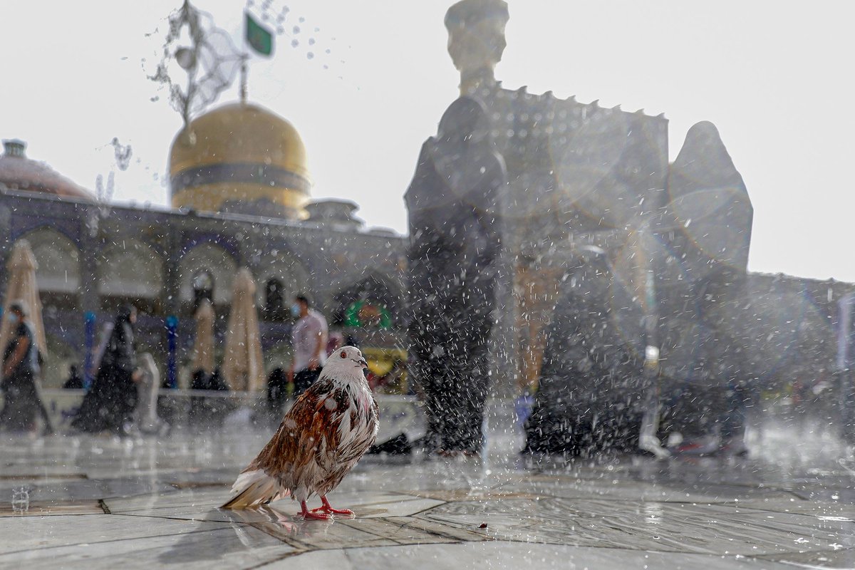 ImamRezaEN's tweet photo. A beautiful photo of today's rain
What caption would you suggest for this scene?
#YourCaption https://t.co/62Xnc7kjWS