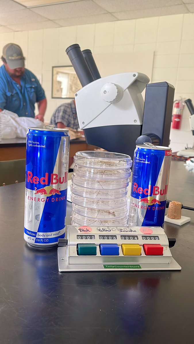 Student workers will do anything to get through counting thrips all day…