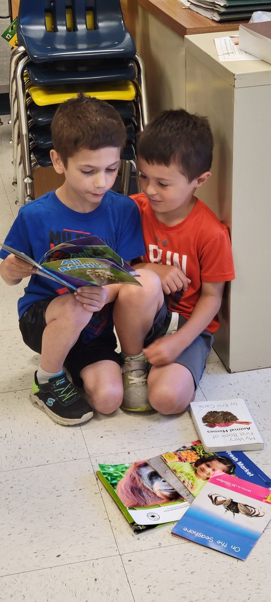 libattsmith's tweet image. Fun day in kindergarten partner reading for IRLA. @Pinebrookgcsd @PettiferSuz @GreeceCentral