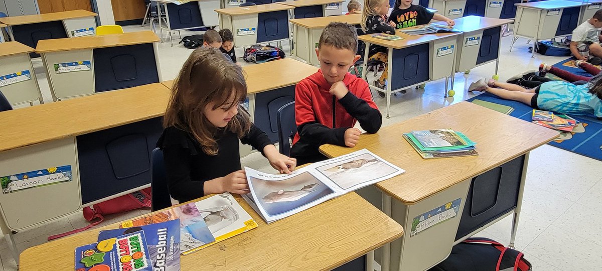 libattsmith's tweet image. Fun day in kindergarten partner reading for IRLA. @Pinebrookgcsd @PettiferSuz @GreeceCentral