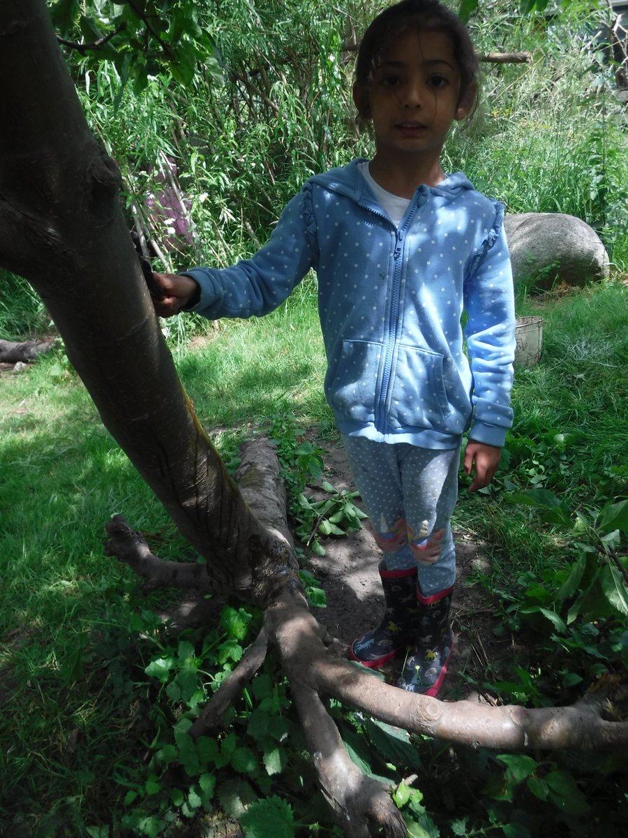 ststephenscps's tweet photo. Today at forest school we looked at the trees on our site naming the parts and the types of trees we have. We had fun climbing the trees. #EYFS #ForestSchool #TerrificTrees https://t.co/37CU7H5YAj