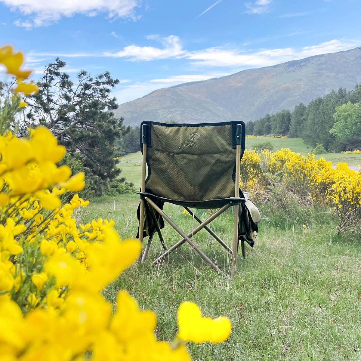 tragopan_'s tweet photo. 🌻Any plans for the weekend?
🏔Today we go for a classic - our chair Koklass V2 - ultralight foldable chair made of coated aluminum.
💡designed to fit in our hides, comfortable and perfect for rough conditions.
🍃More info: https://t.co/fOLJTfennH
#koklass #tragopanofficial https://t.co/kVzIDkAPA2