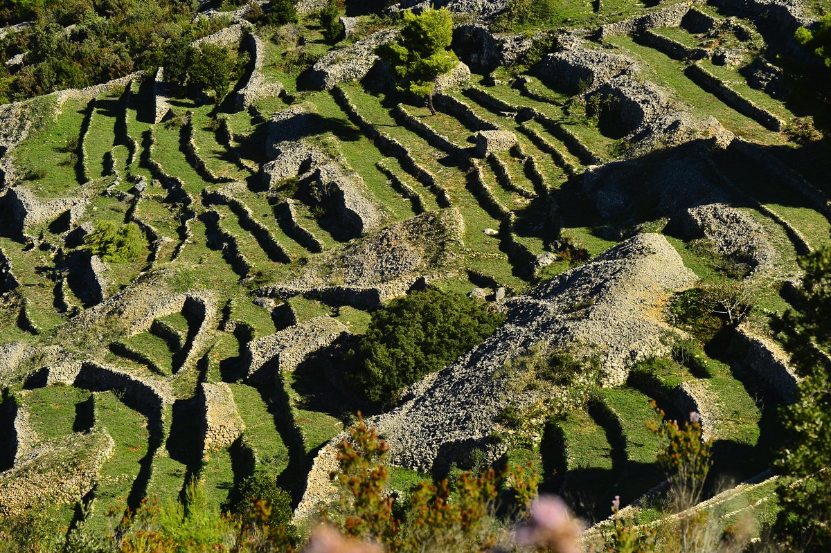 UnescoVis's tweet photo. DRY WALLS, VIS ARCHIPELAGO GEOPARK, CROATIA
photos by: Ivo Pervan

#UNESCO #Croatia  #geopark #drywall #Vis #agriculture  #medireanean #culture #wine  #vineyard https://t.co/LcgsP3STzV