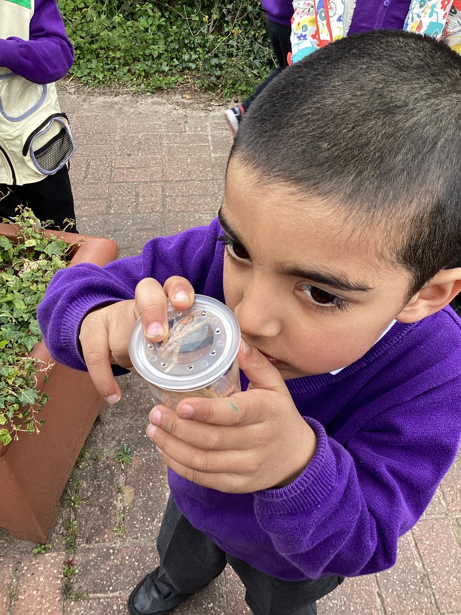 After discovering so many ladybirds in the garden, and reading ‘What The Ladybird Heard,’ Reception have gone ladybird crazy this week! 🐞 🐞🐞❤️ #whattheladybirdheard #followinginterests #minibeastmad #inspiredtowrite