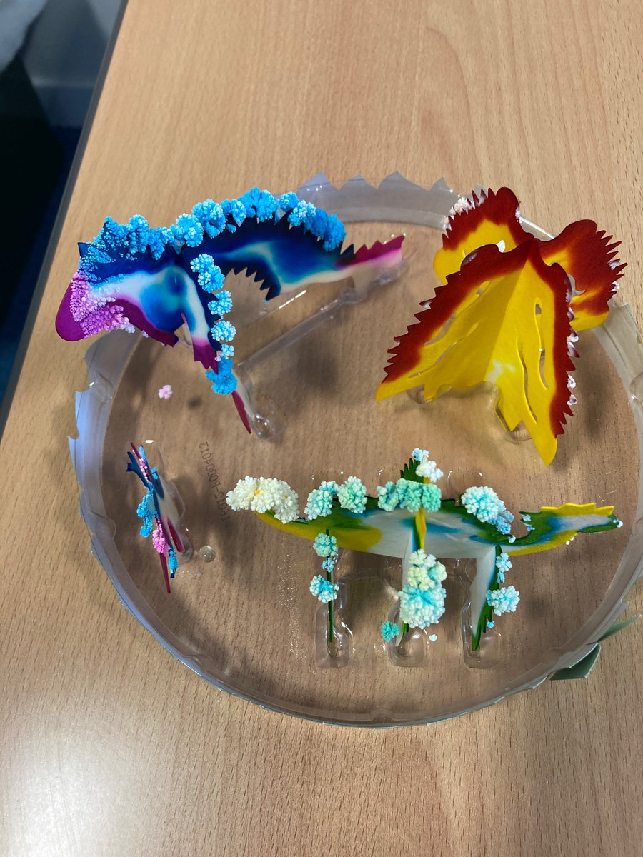 Bishopbriggs Academy ELR tweet media