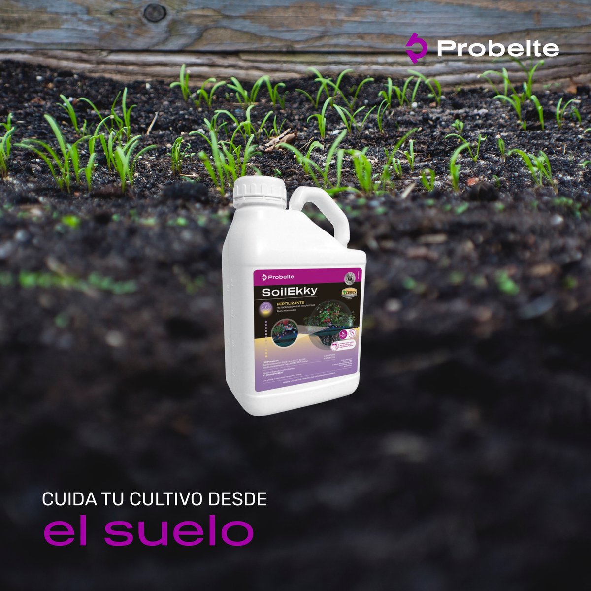 ¿Conoces SoilEkky? 💧

Nuestro nuevo bioestimulante que actúa en el suelo del cultivo, mitigando los factores de estrés que le pueden perjudicar de forma natural durante su ciclo.

Más información en nuestra web.

#Probelte #agricultura #cultivos #innovación #biotecnologia