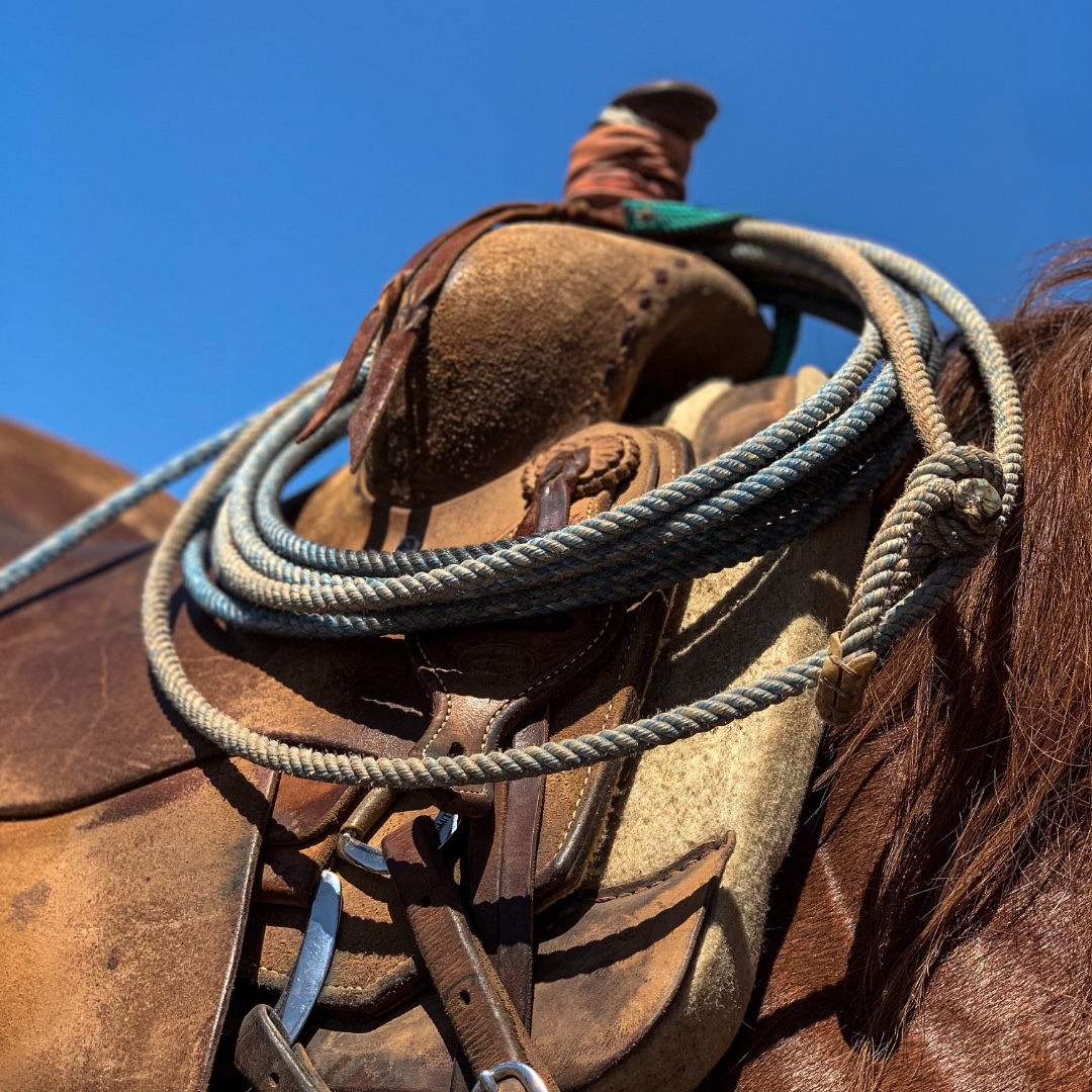 Who said the Tsunami was just for breakaway roping and not for ranch work?🙌🏻
#firstswing #conquerwithcactus
