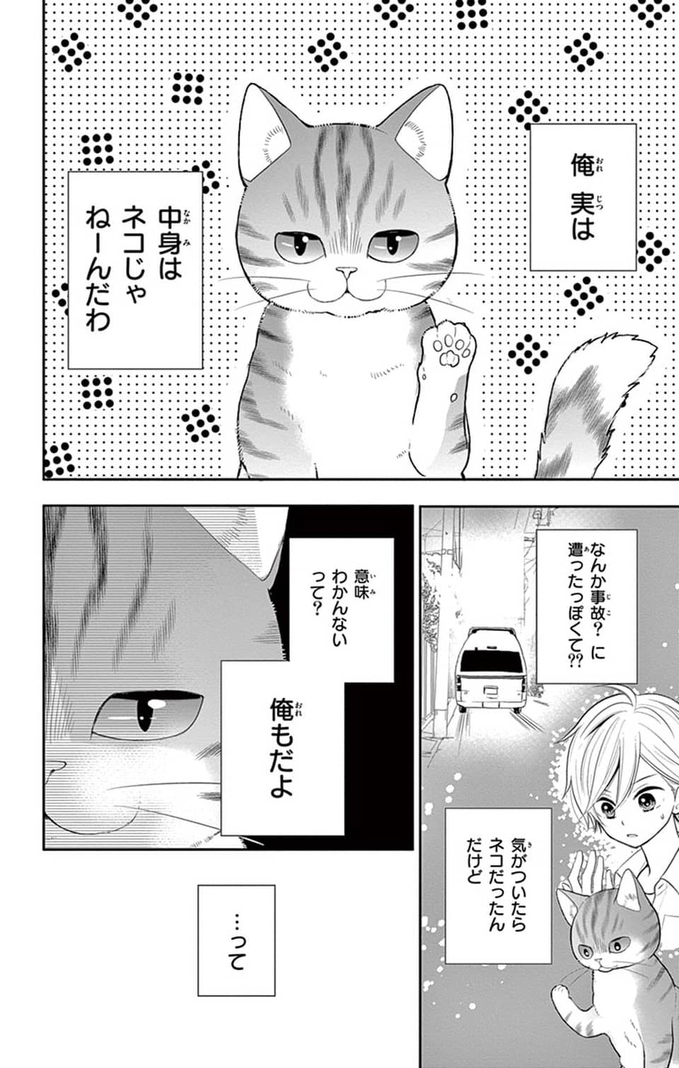 ねこはじめました Twitter Search Twitter