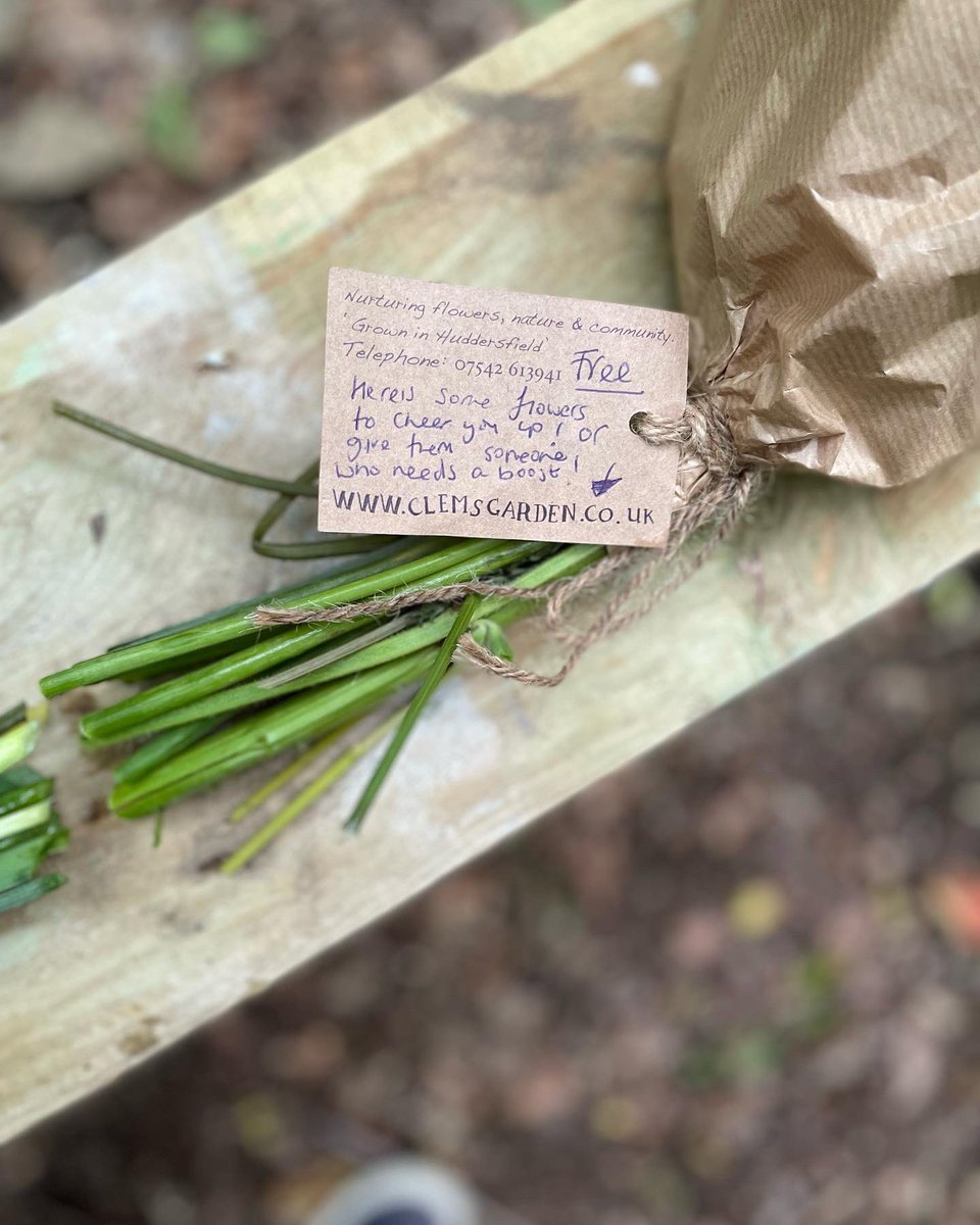 ClemsGardenHQ's tweet photo. #communityisfamily In #cowcliffe the community has added โfriendshipโ benches in the woods and park to encourage people to chat or take time out and just sit.
These spare flowers from todays stall are a surprise find to cheers someoneโs day . Xx https://t.co/J0xxcyxYHd