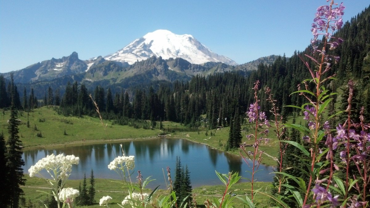 SnoqualmiePass's tweet photo. Hey good news! Our neighbor on SR 410 Chinook Pass is now open for the season! It was a bit of challenge getting things back open due to a lot of late season snow. Have a safe weekend! https://t.co/g3Zfv2VLu7