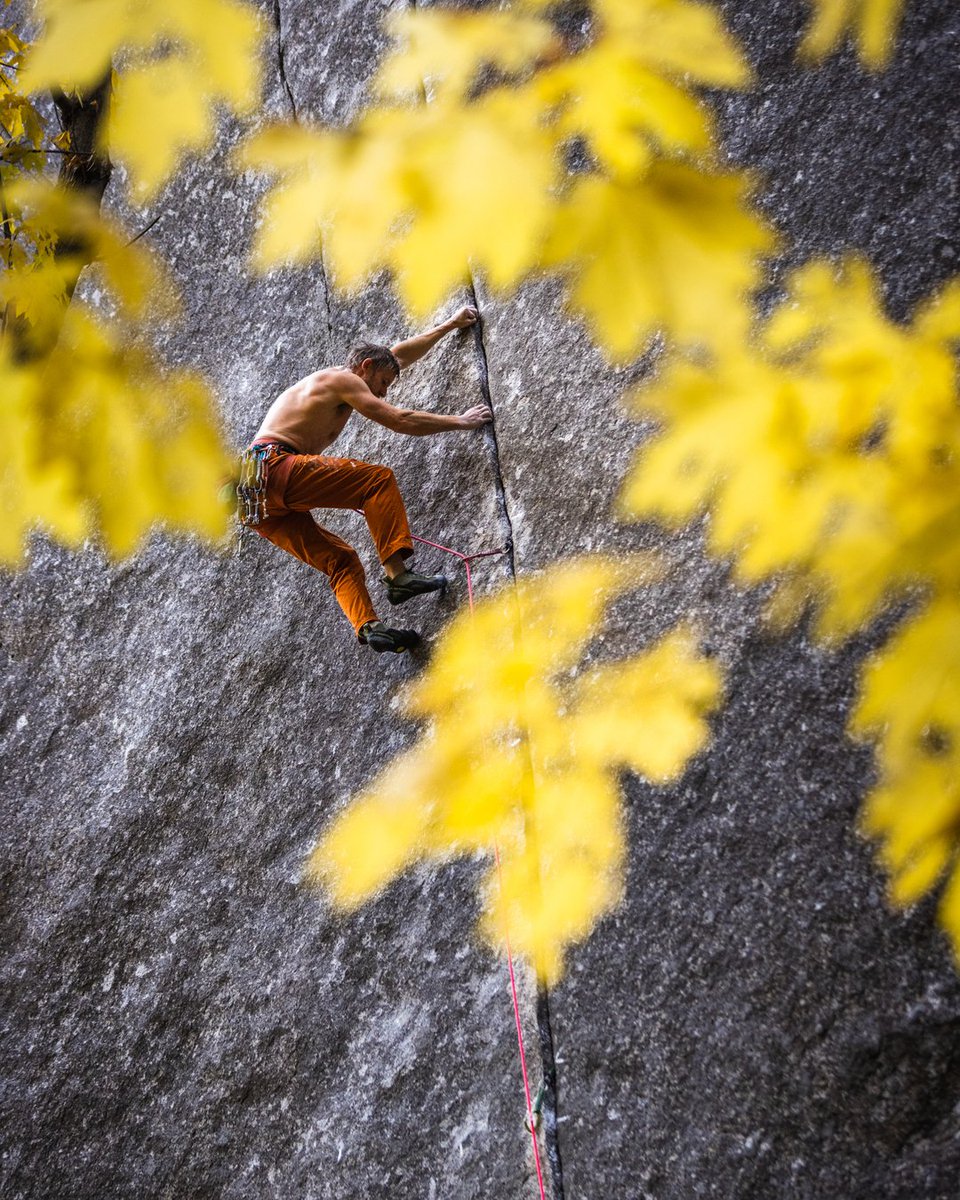 Jon Glassberg tweet media