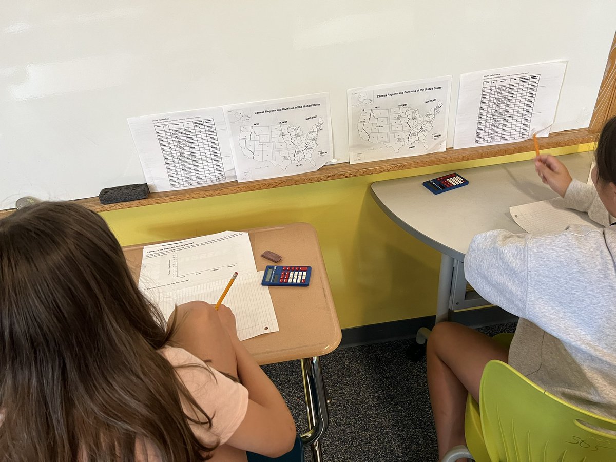 6th Grade Statisticians!!!