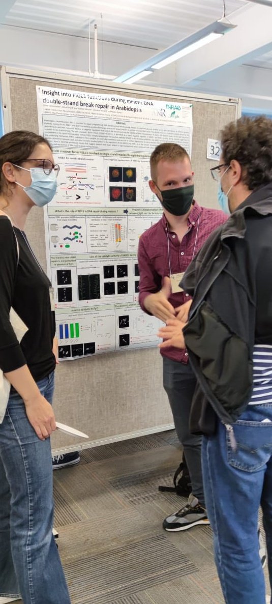 EmmeneckerCome's tweet photo. Here is my first poster at the #GRCmeiosis2022 ! So nice to meet all the community, an amazing conference. https://t.co/8YiivI2an4
