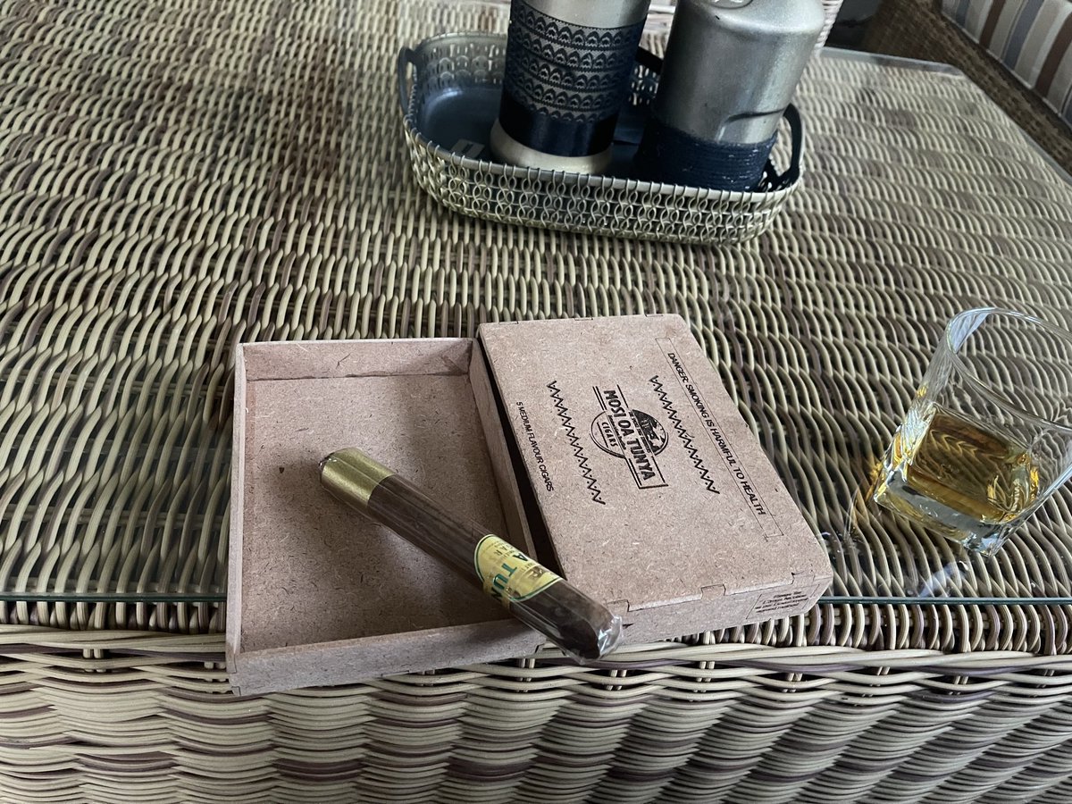 Muzvo Projects tweet media