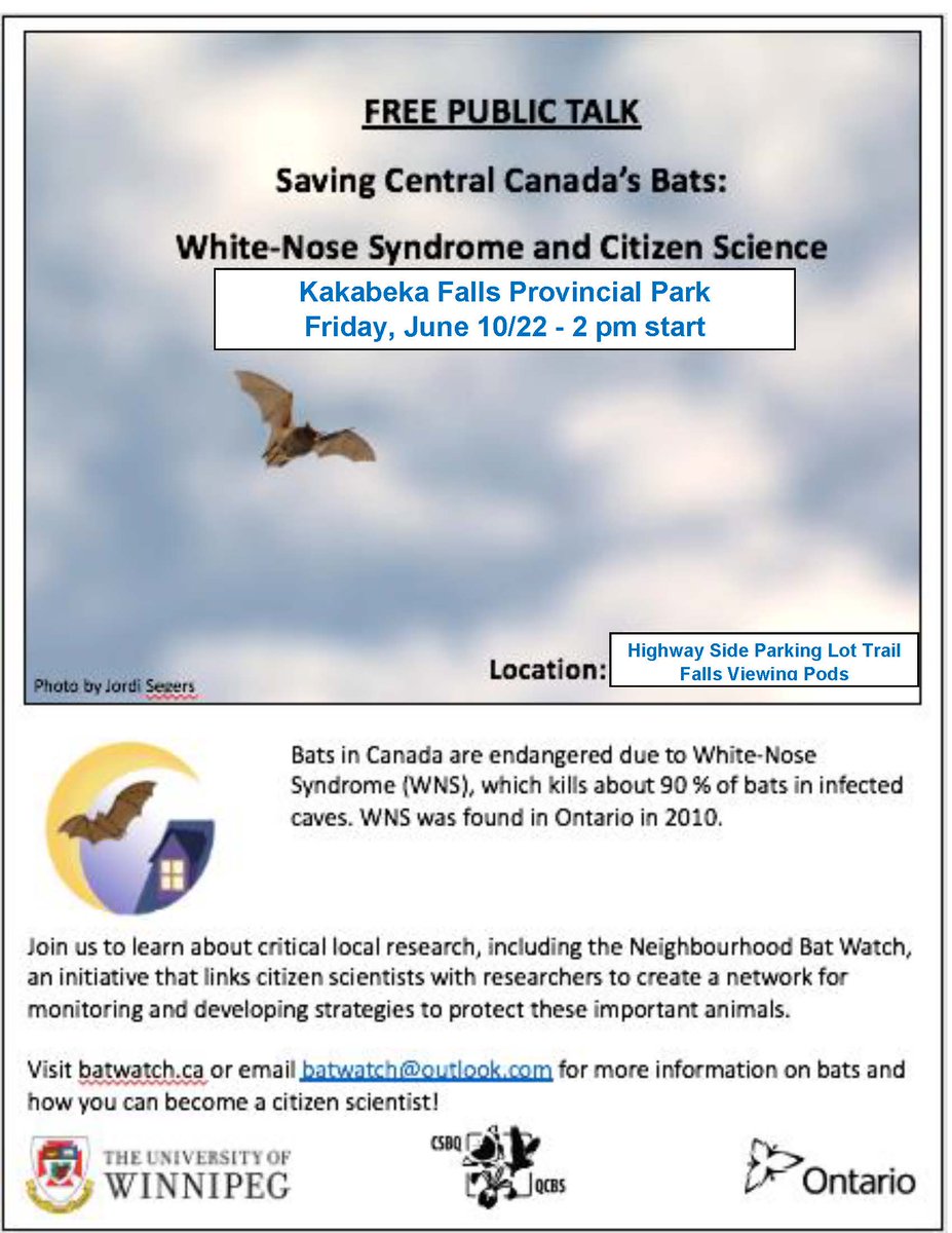 OntarioParksNWZ's tweet image. If you're headed to Kakabeka Falls Provincial Park this afternoon, stop by the University of Winnipeg's Bat Lab information booth (highway side parking lot area).

“Saving Central Canada’s Bats: White-Nose Syndrome &amp;amp; Citizen Science”.

2 pm start 🦇 #batwatch #citizenscience 🦇