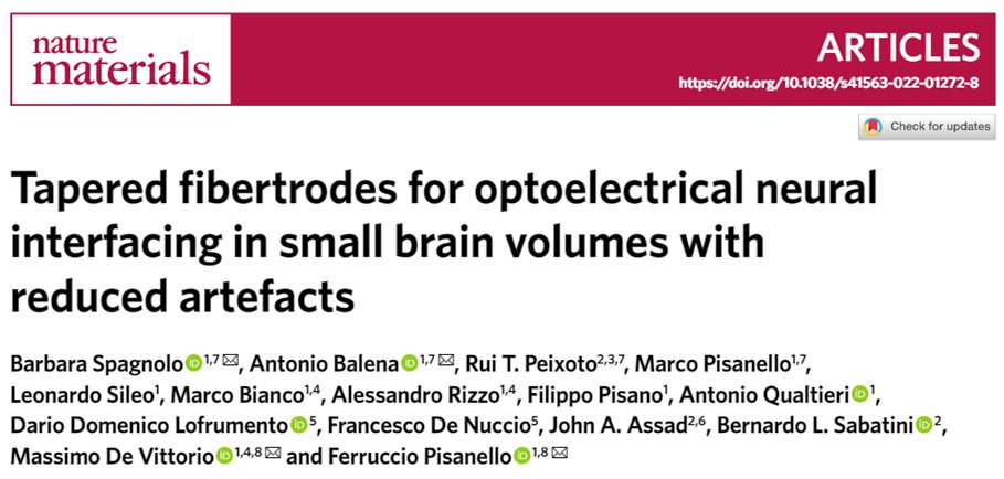 Now that it’s finally out on <a href="/NatureMaterials/">Nature Materials</a>, let’s share some insights on our newly born technology: the Fibertrode! Short thread <a href="/Ferruccio_PhC/">Ferruccio_PhC</a>  <a href="/BarbaraSpagnol5/">Barbara Spagnolo</a> <a href="/neurodev_lab/">Rui Peixoto</a> <a href="/pisanello_marco/">Marco Pisanello</a> <a href="/oppilif_pis/">Filippo Pisano</a> <a href="/m_bianco_/">Marco Bianco</a> <a href="/blsabatini/">Bernardo Sabatini</a> <a href="/mdv_67/">Massimo De Vittorio</a> (Full text rdcu.be/cO4qF) 1/7