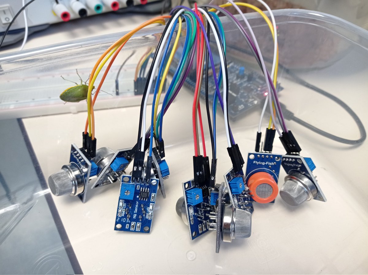 Very excited to start this collaboration with Prof Trudi Joubert (Director of CEFIM <a href="/UPTuks/">University of Pretoria</a>) and her students. Objective: detection of my #stinkbug via electronic sensors or e-nose 👃💻🔬 #pestmanagement <a href="/UPnasagric/">UP Faculty of Natural and Agricultural Sciences</a> <a href="/Fabiteam1/">FABI</a>