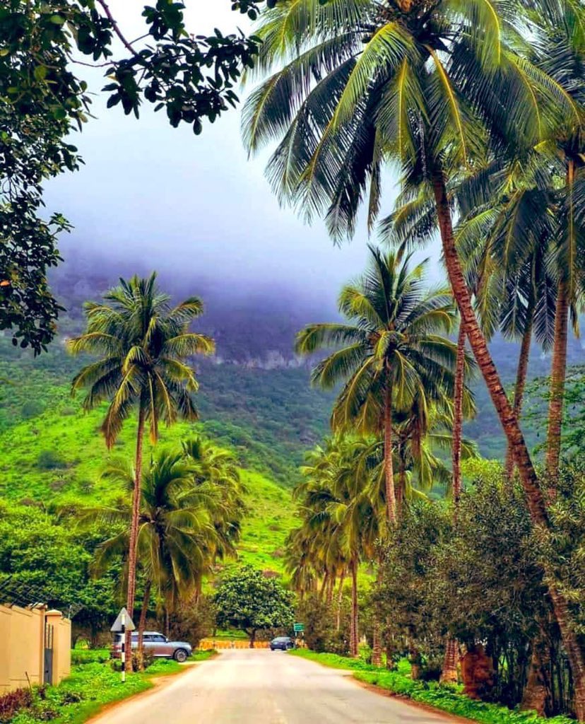 نـشـر | Nashr tweet media