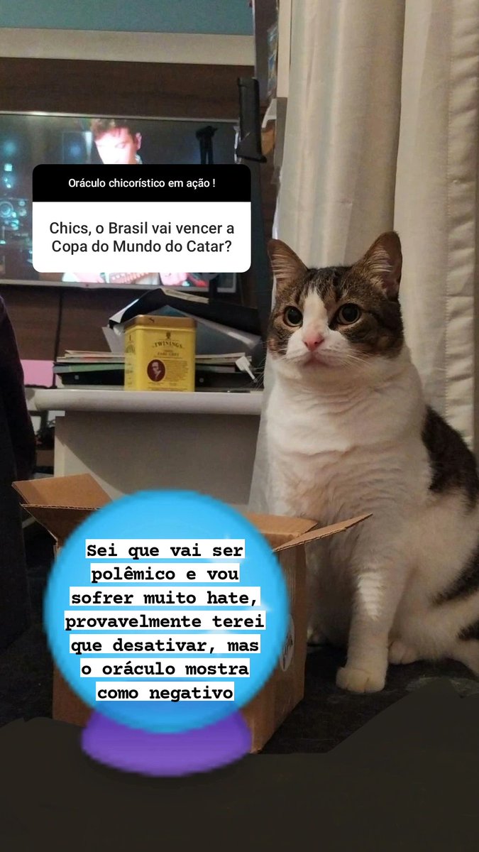 chicorinha_'s tweet photo. Um pouco da sabedoria do oráculo pra vcs https://t.co/gc0JvgUQ8p