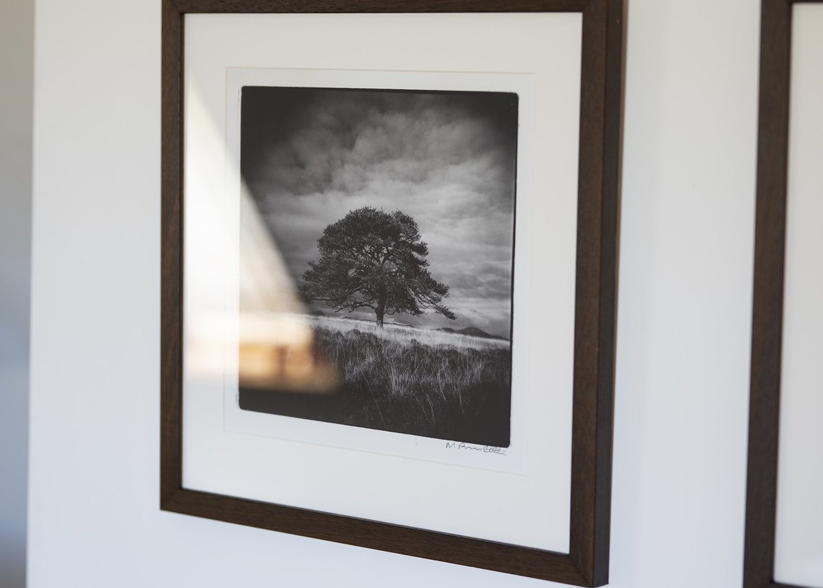 michaelphoto's tweet photo. Showing new silver gelatin prints as part of Open Studios @FVAB_ The exhibition is on for the next two weeks. #landscape @BelieveInFilm #curlew https://t.co/UswWDQXFIP