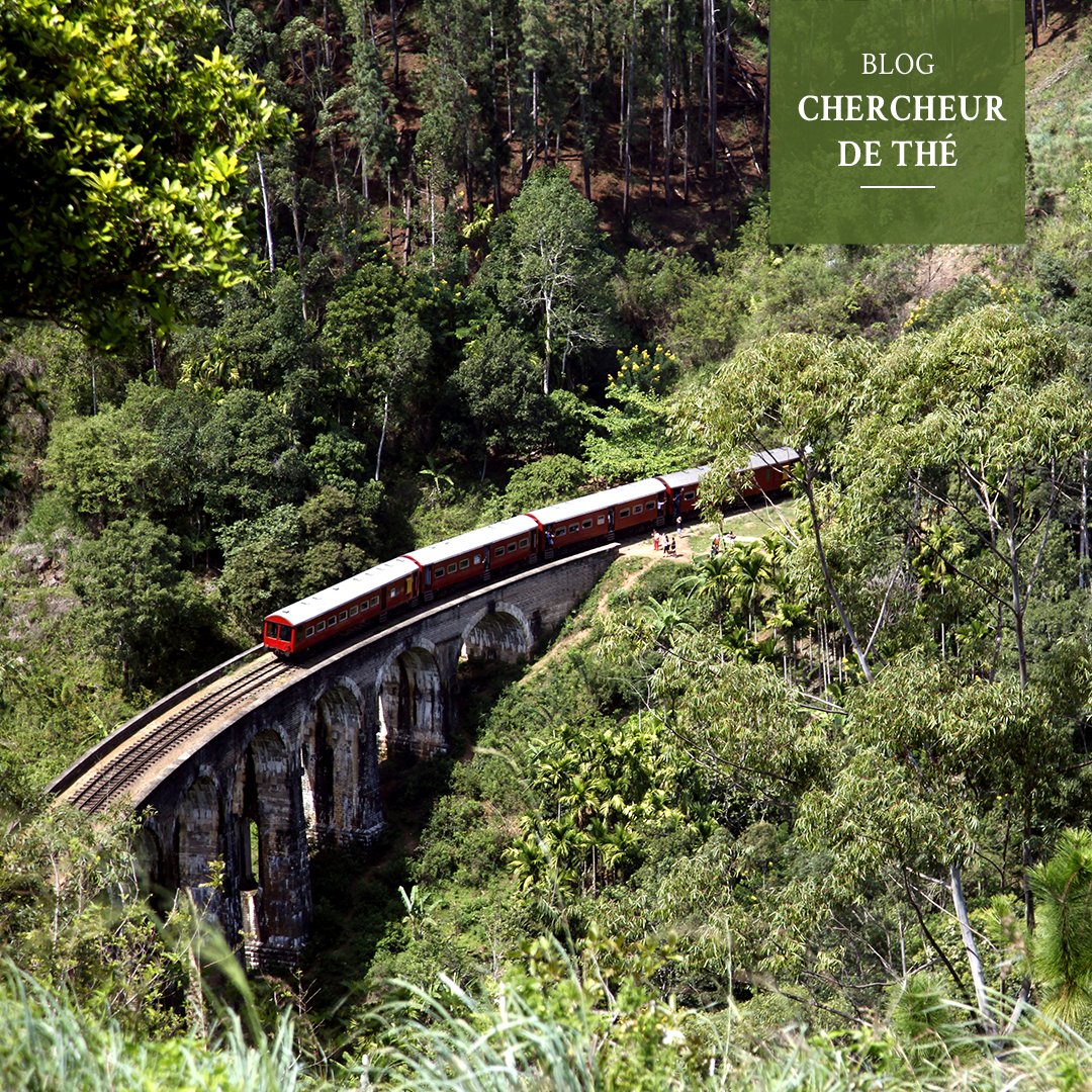Cette semaine sur le blog de François-Xavier Delmas, fondateur de Palais des Thés, voyagez au Sri Lanka pour découvrir le petit train qui serpente entre les champs de thés de Colombo à Badulla.

A découvrir sur chercheurdethe.com 👉 bit.ly/3ttkCFw