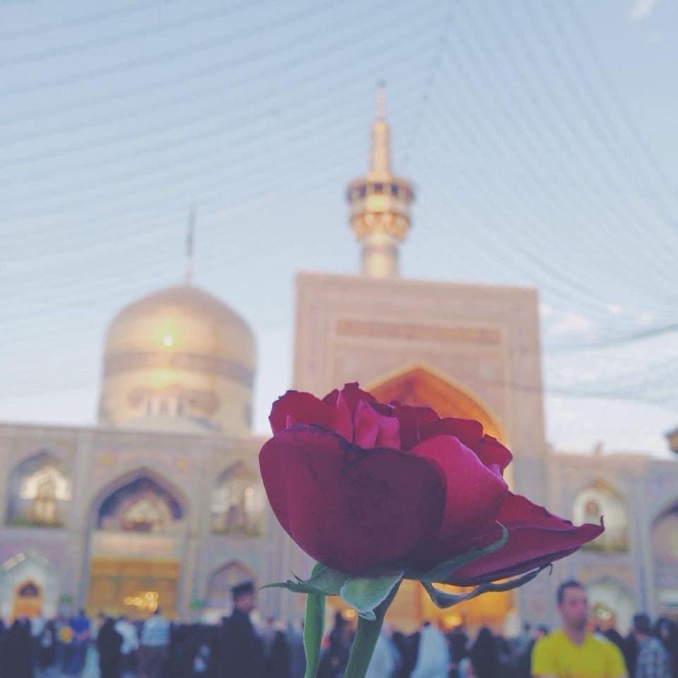 SyedaSanaa2's tweet photo. ظہور ِ  بادشاہِ خراسان مبارک..🥀 https://t.co/LeqS6PWj4F