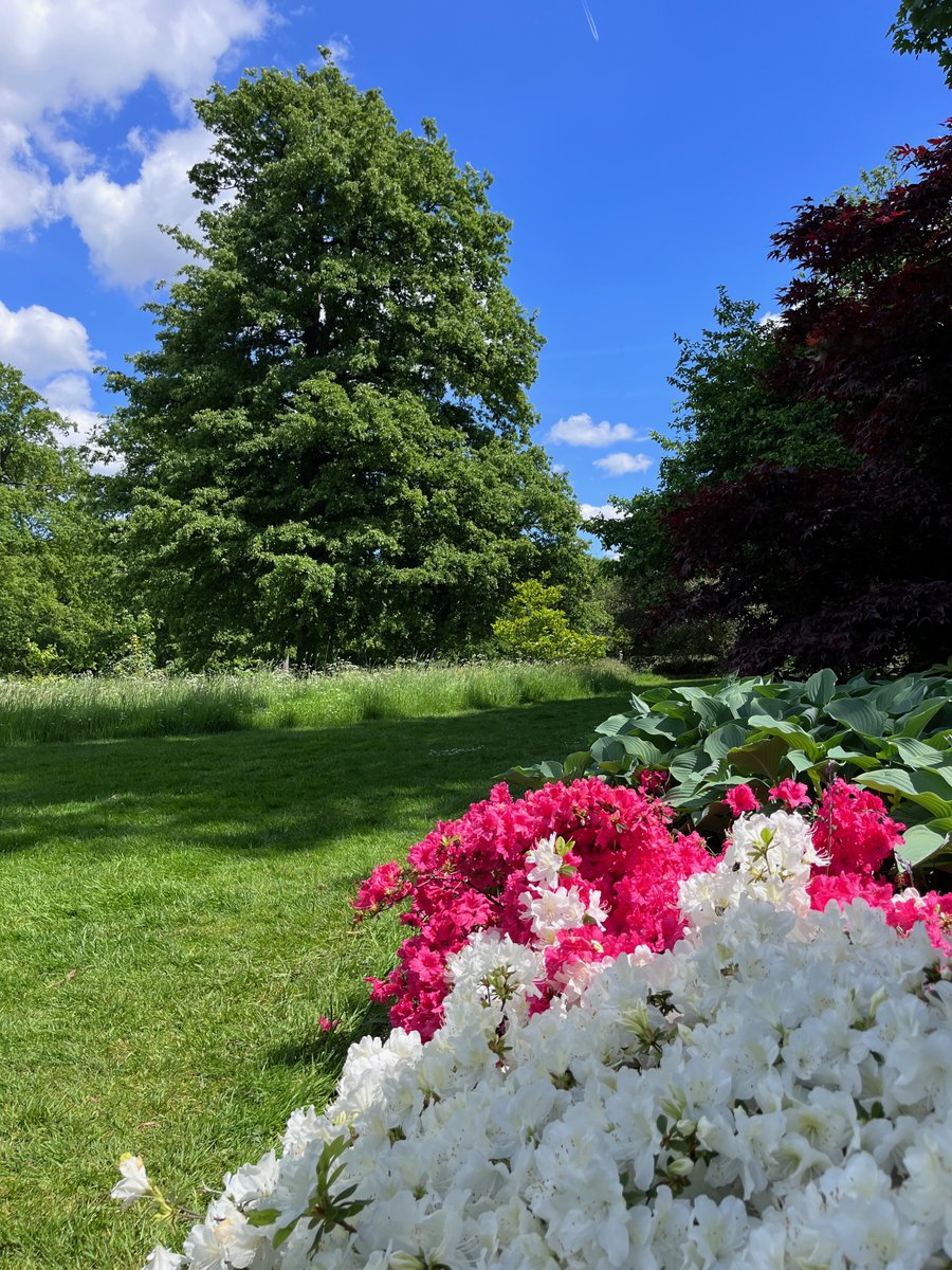 Jon Blower tweet media