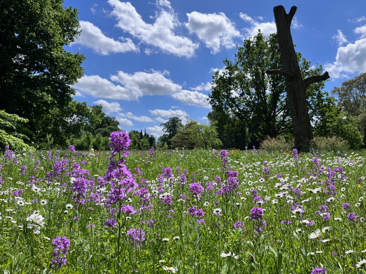 Jon Blower tweet media