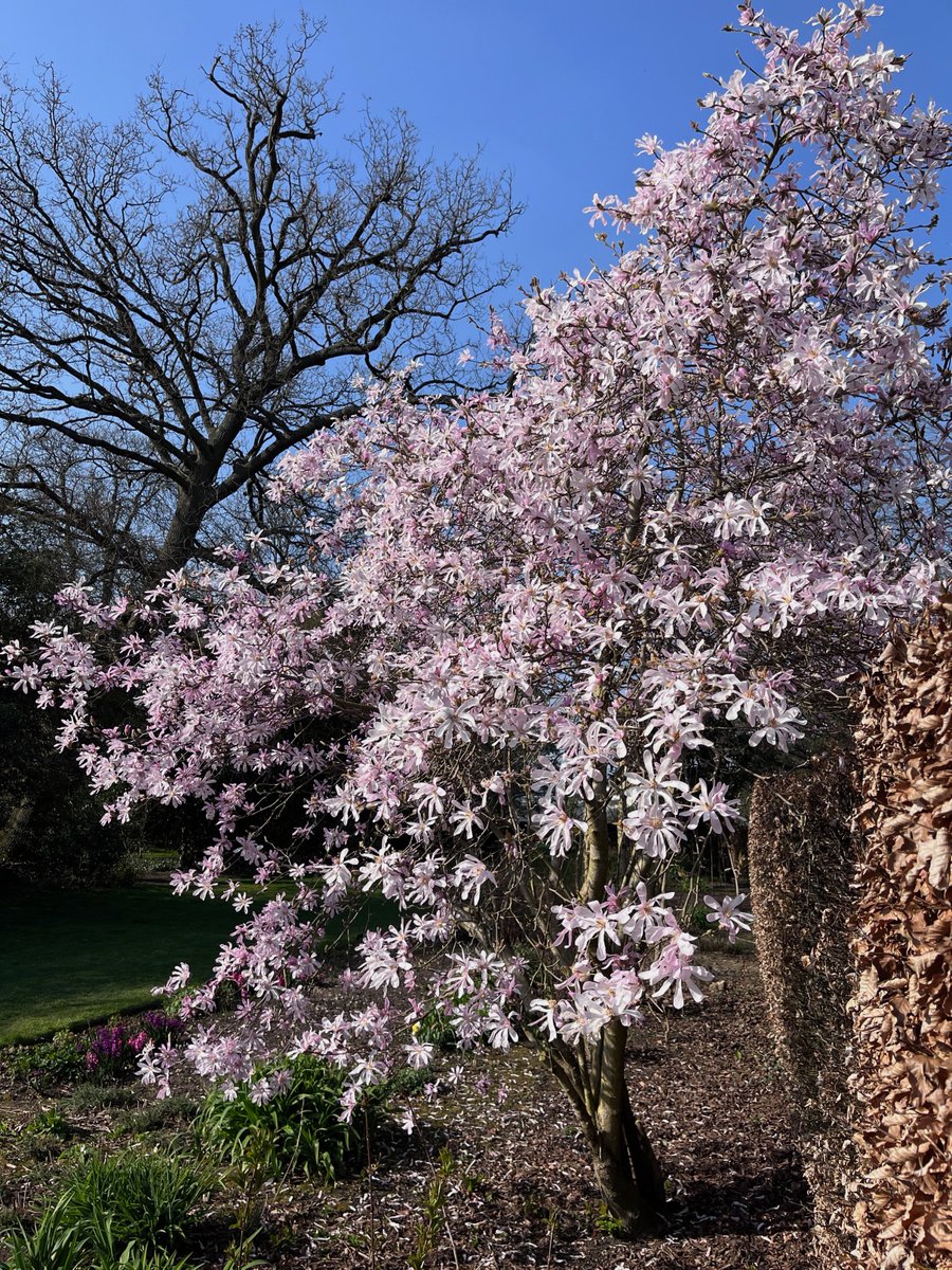 Jon Blower tweet media