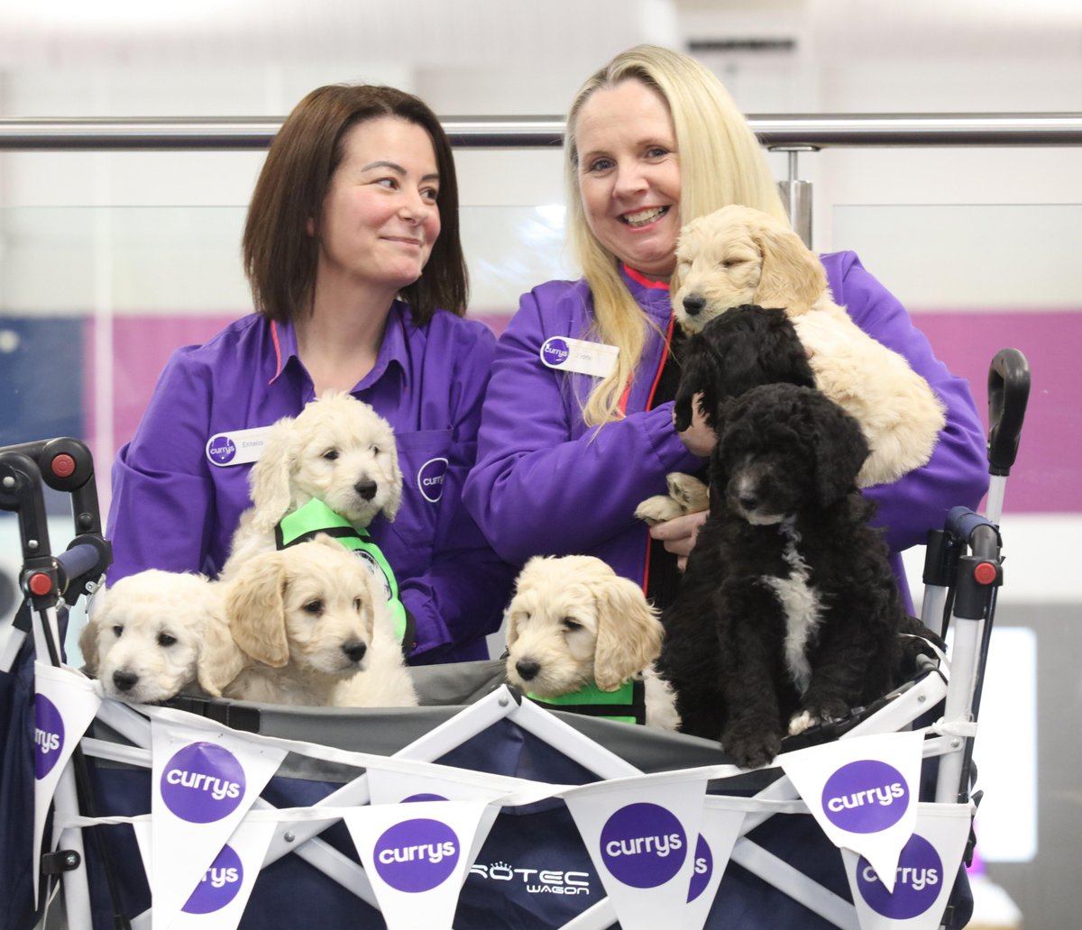 With My Canine Companion and The Willow Tree Autism Project, we're delighted to have provided our retail colleagues across our 16 stores with Autism Awareness &amp; Understanding training so we can help make a small difference in our customers' lives.