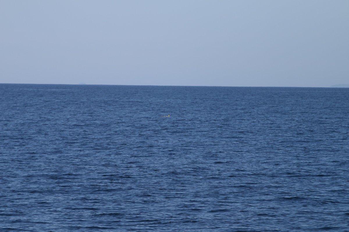 MUNOceanography tweet media