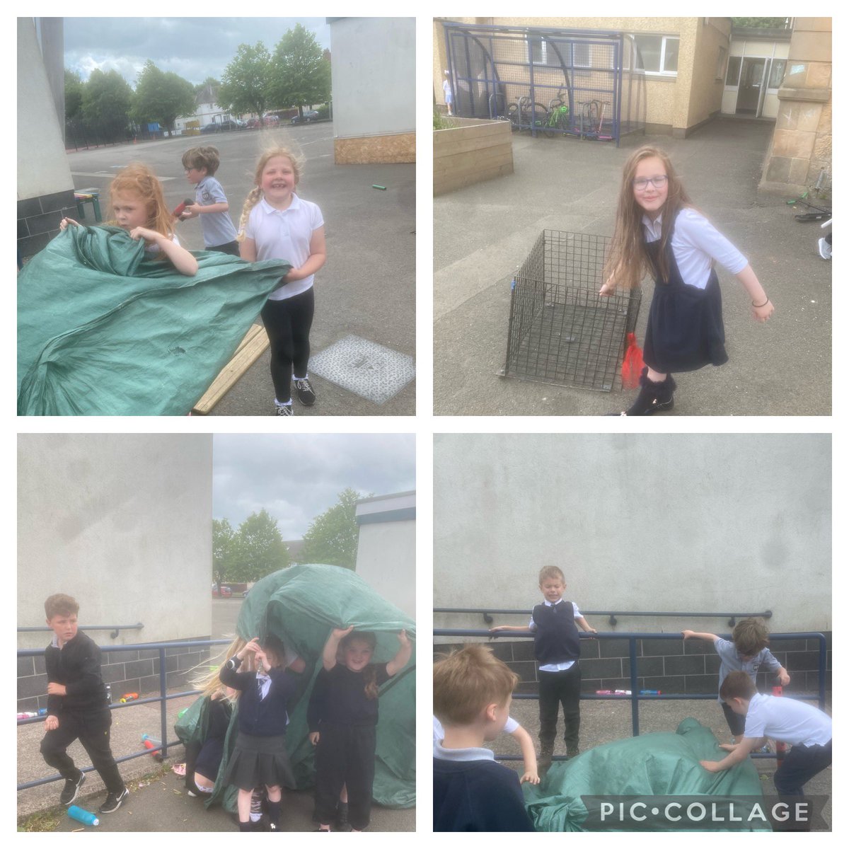 Mrs McGibbon LVPS tweet media