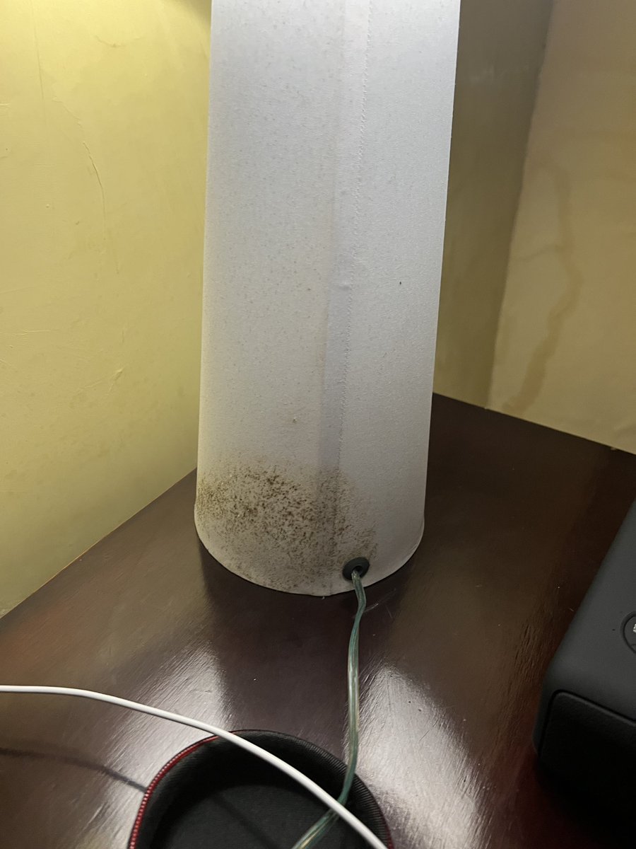tanyamaia's tweet photo. They way @Airbnb is playing in our face right now, telling us this is “paint splatter” and NOT mold 🙃🙃🙃🙃 https://t.co/SueUffIvuZ
