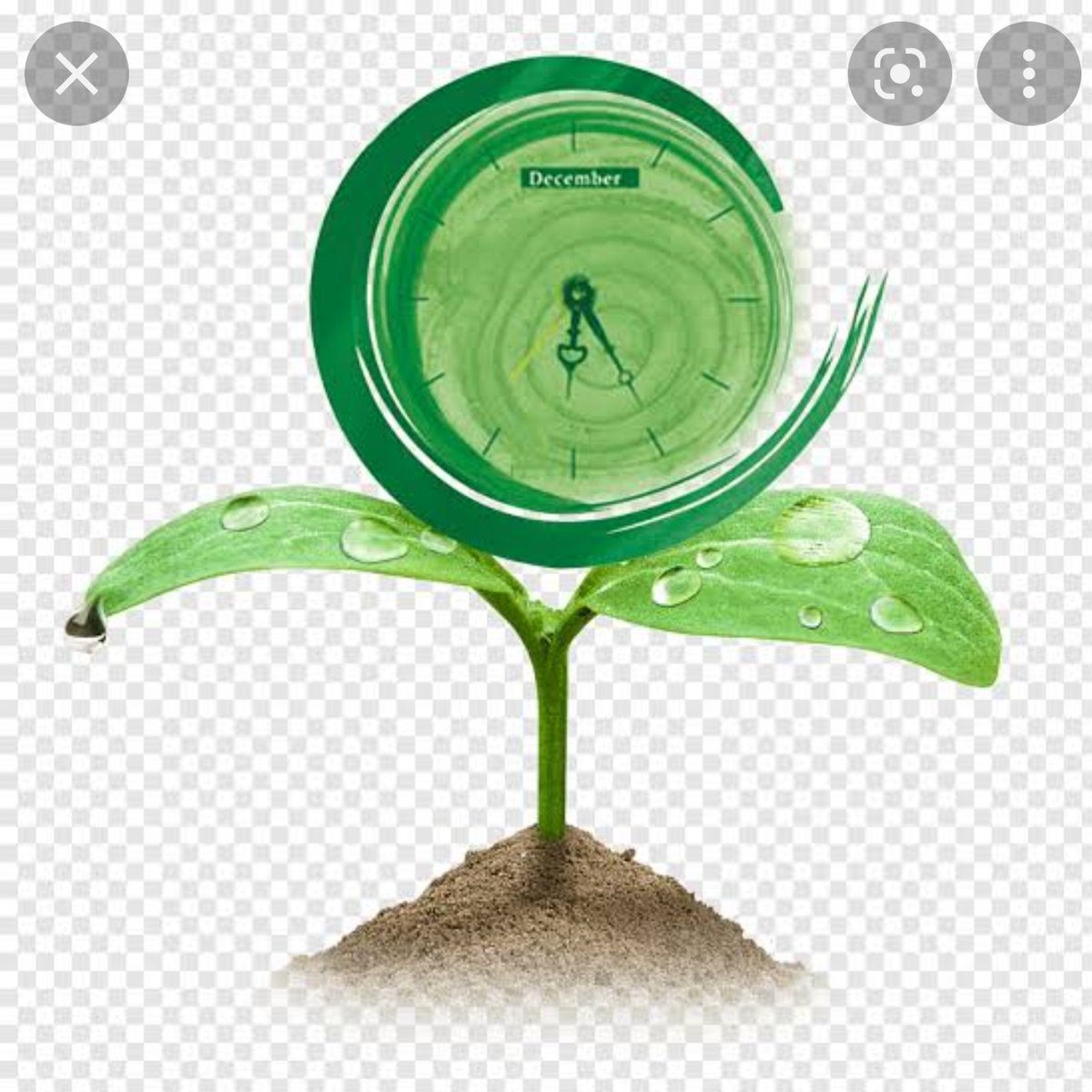 9.Sınıf 🧪Kimya "Sürdürülebilir Çevre" 🌍 Stem Atölye Çalışmamızda, geleceğimiz ve Dünya'mız için  neler yapabilecegimizi kazandık.
#STEMGelecektir
<a href="/benaykaragz/">Benay Karagöz Tümkaya</a> <a href="/mserhankal/">Serhan kal</a> <a href="/cuneytd1/">cüneyt dostoğlu</a> <a href="/Muzaffercal35/">Muzaffer Çal</a> <a href="/yahyacihad/">𝖄𝖆𝖍𝖞𝖆 𝕮𝖎𝖍𝖆𝖉 𝕰𝖗𝖙𝖚𝖌𝖗𝖚𝖑</a> <a href="/MayriyeCiftci/">Mayriye Çiftci</a>