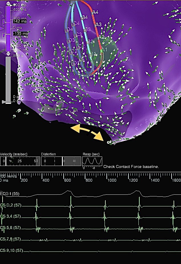 Al Pateqi tweet media