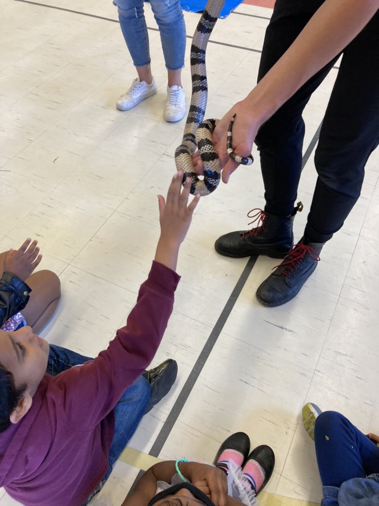 Conestoga PS tweet media