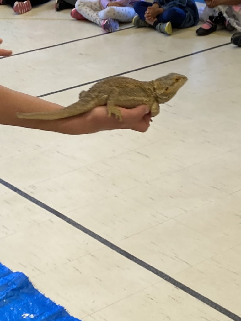 Conestoga PS tweet media