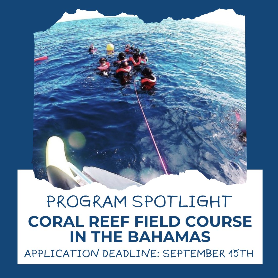 As summer is here, we’re thinking about our programs taking place WINTER BREAK 2022-2023! Here are some highlights of a program in the warm and sunny Bahamas.

Coral reefs are one of the most diverse systems on earth yet are declining at an alarming rate.