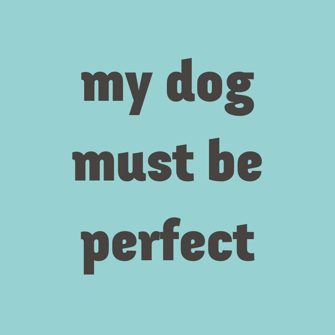 Are you putting pressure on yourself and your dog to be perfect?

I used to be the same. Then I realised that I have a dogs to have fun, that so long as my 'necessary' stuff was covered? They don't need to be 'perfect' because they're perfect for me.

Perfection is relative.
