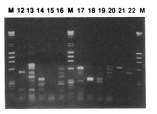 Leslie Vosshall PhD tweet media