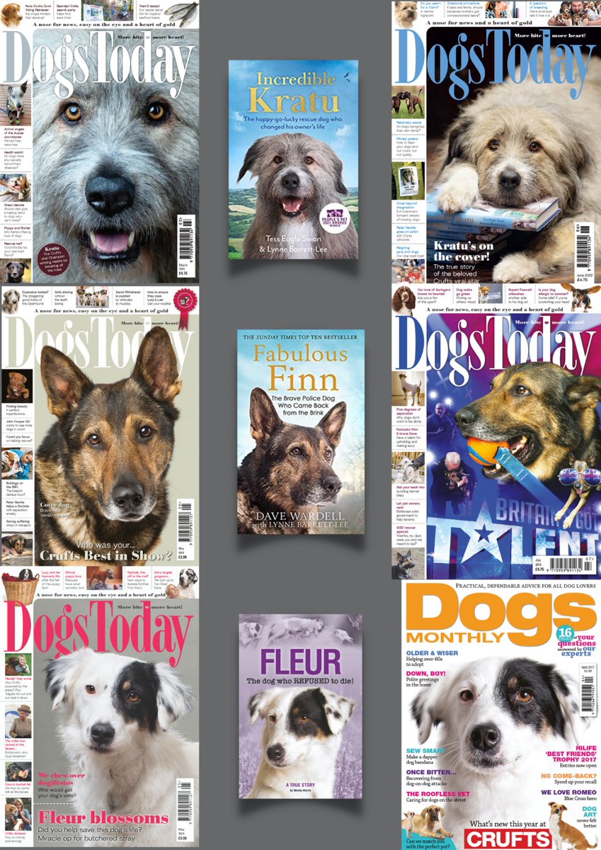 IncredibleKratu's tweet photo. The hairy trinity of @Dogs_Today ♥️♥️♥️ @IncredibleKratu @K9Finn @chroniclesfleur 
The only 3 dogs who have made a double cover on Dogs Today Magazine
We all have a book out too @beverleycuddy 
#Friday #dogsoftwitter #book https://t.co/WMPIoi1CSl
