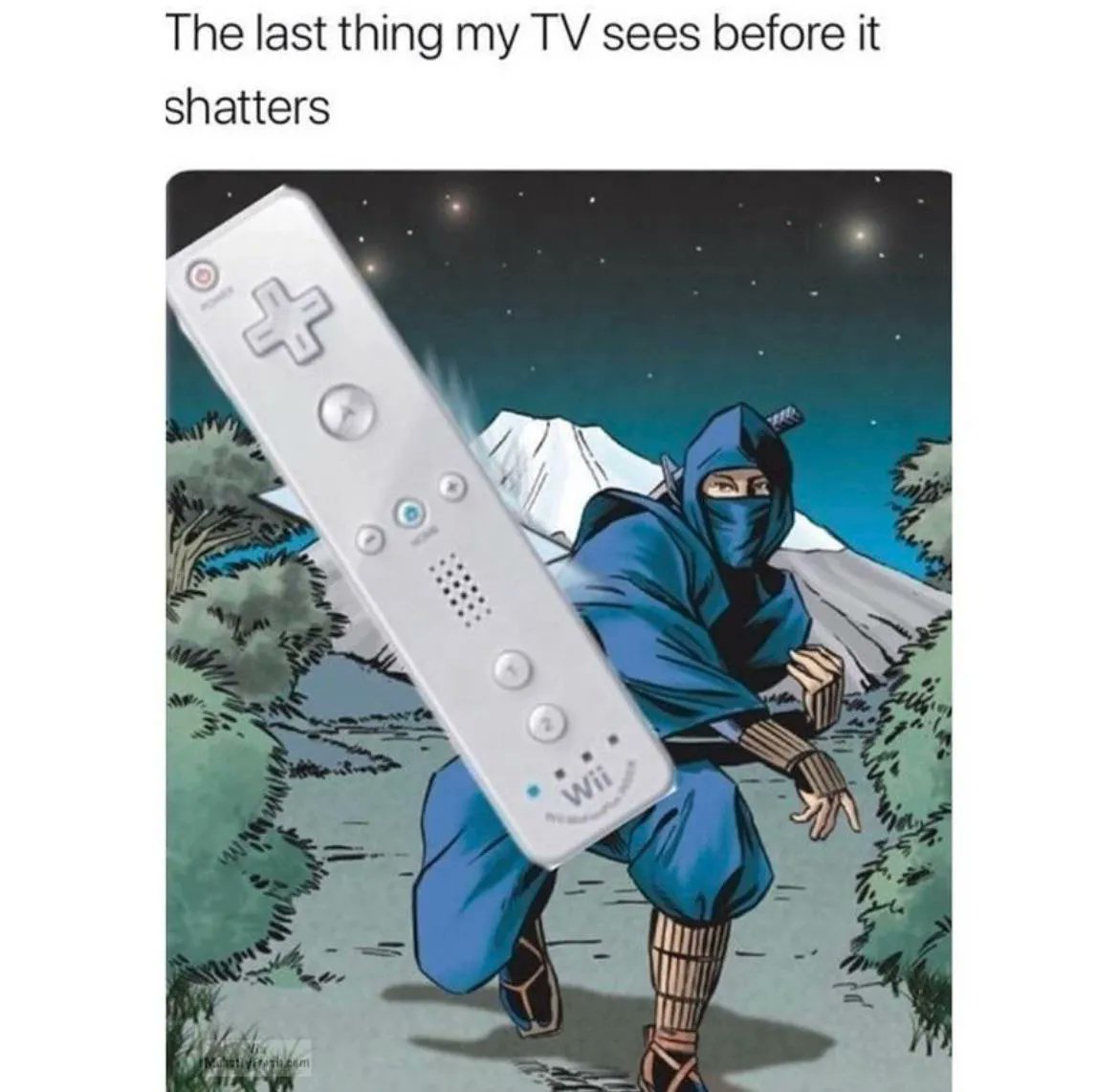 That’s why they included the wrist straps. #wii #brokentv #ninja #danger #gamingmemes #gamememes #game #gaming #humor #funny #videogames #mobile #smartphone #gamemine