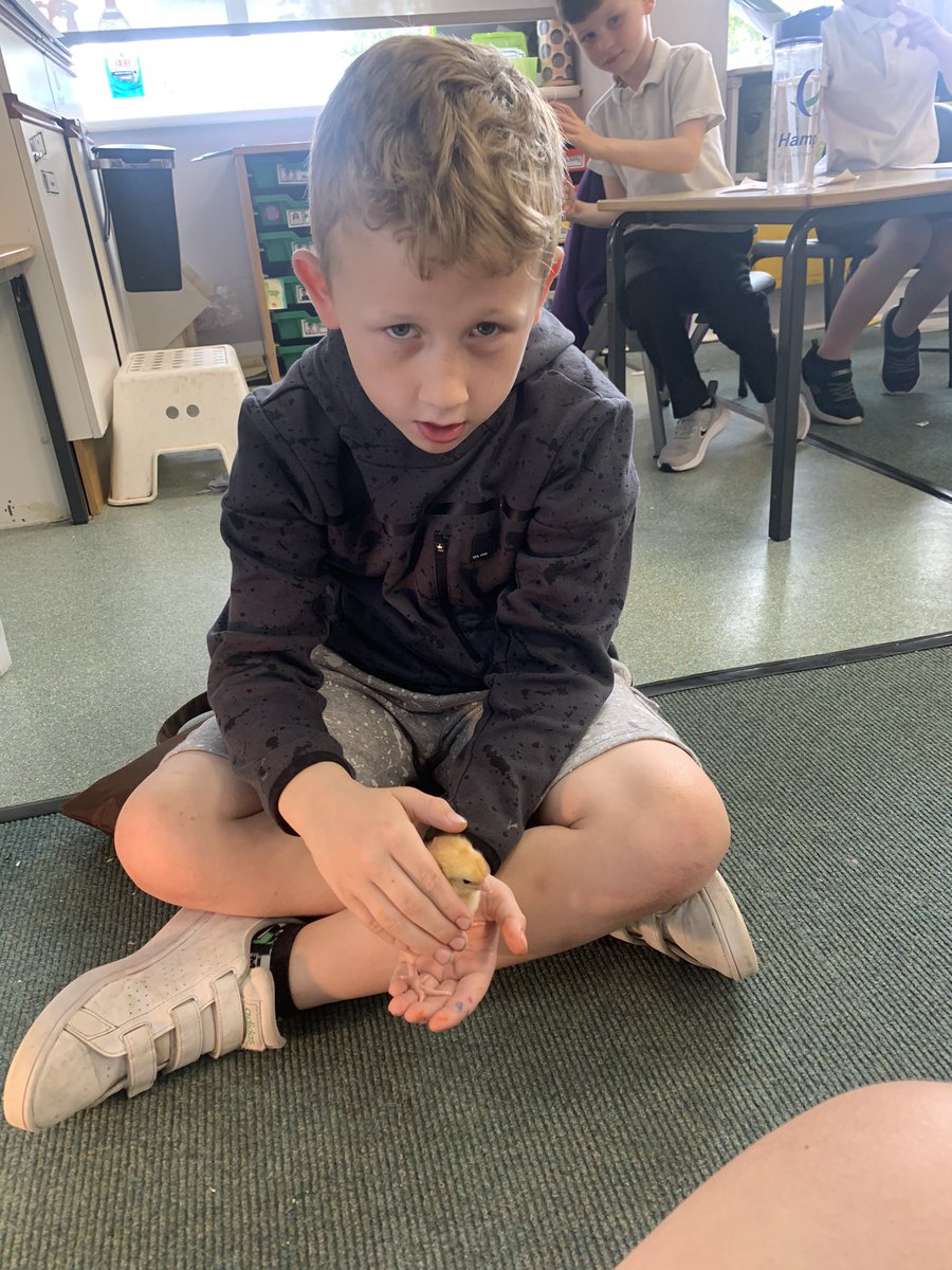 We had to be very gentle when holding the newest members of our class 🐥