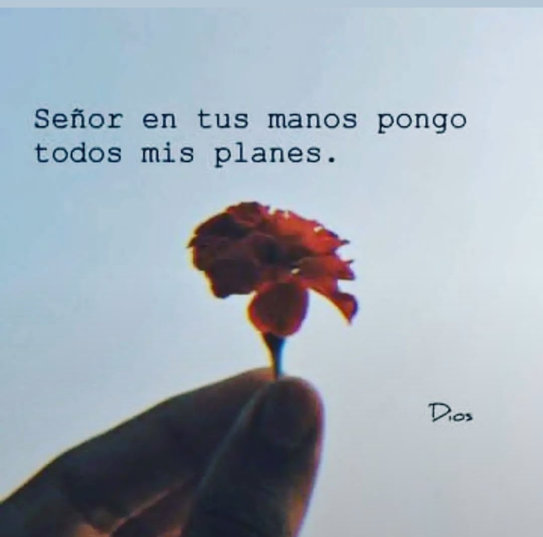 TgSimulacion's tweet photo. https://t.co/TCMIpigcg1