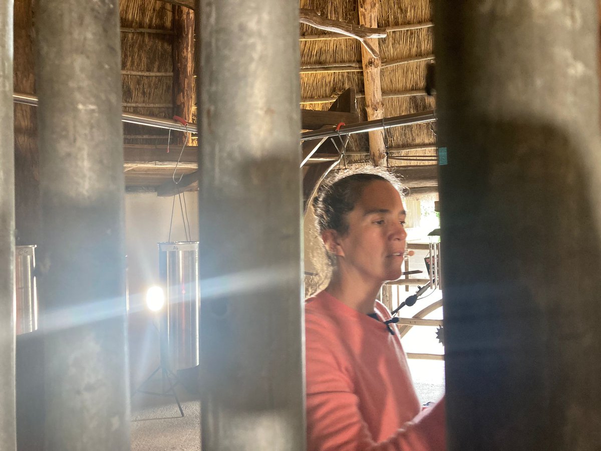 Clang Sayne tweet media