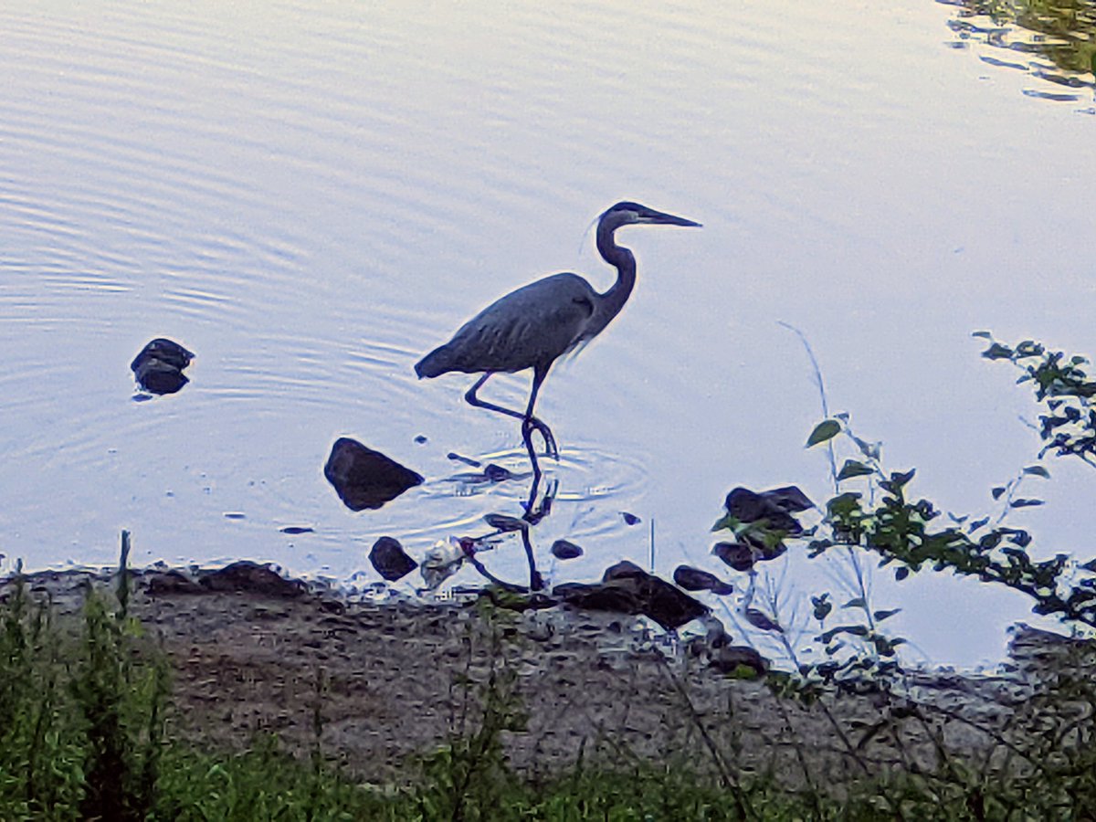 Gang Chen tweet media