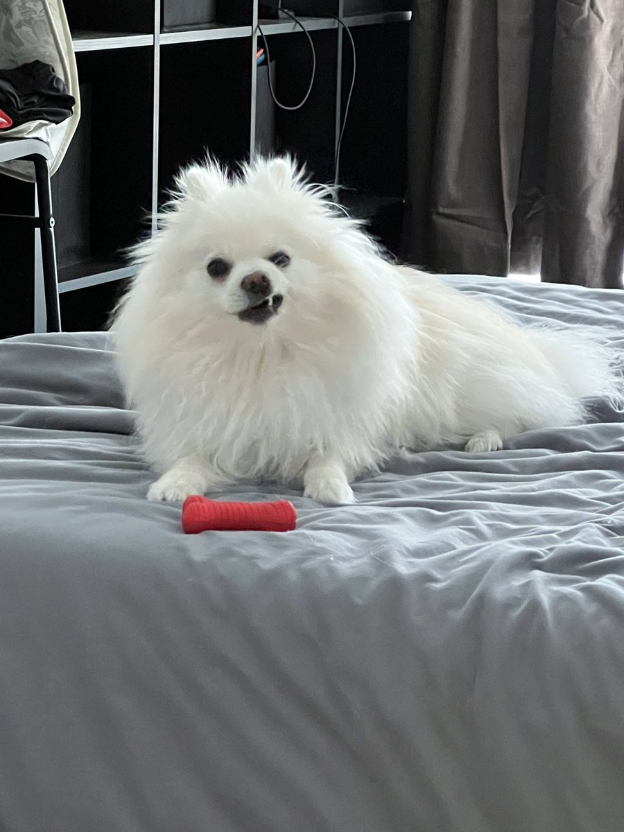 Happy birthday to my photogenic king 🙏 Big man is 2 already