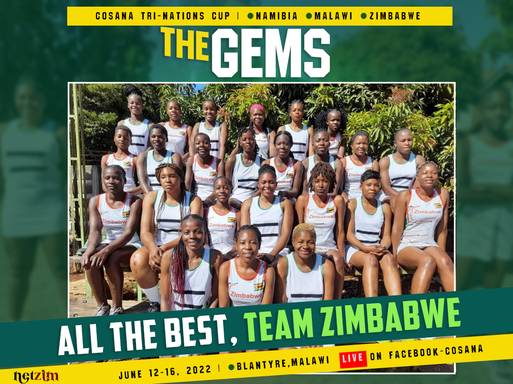 NetZim tweet media