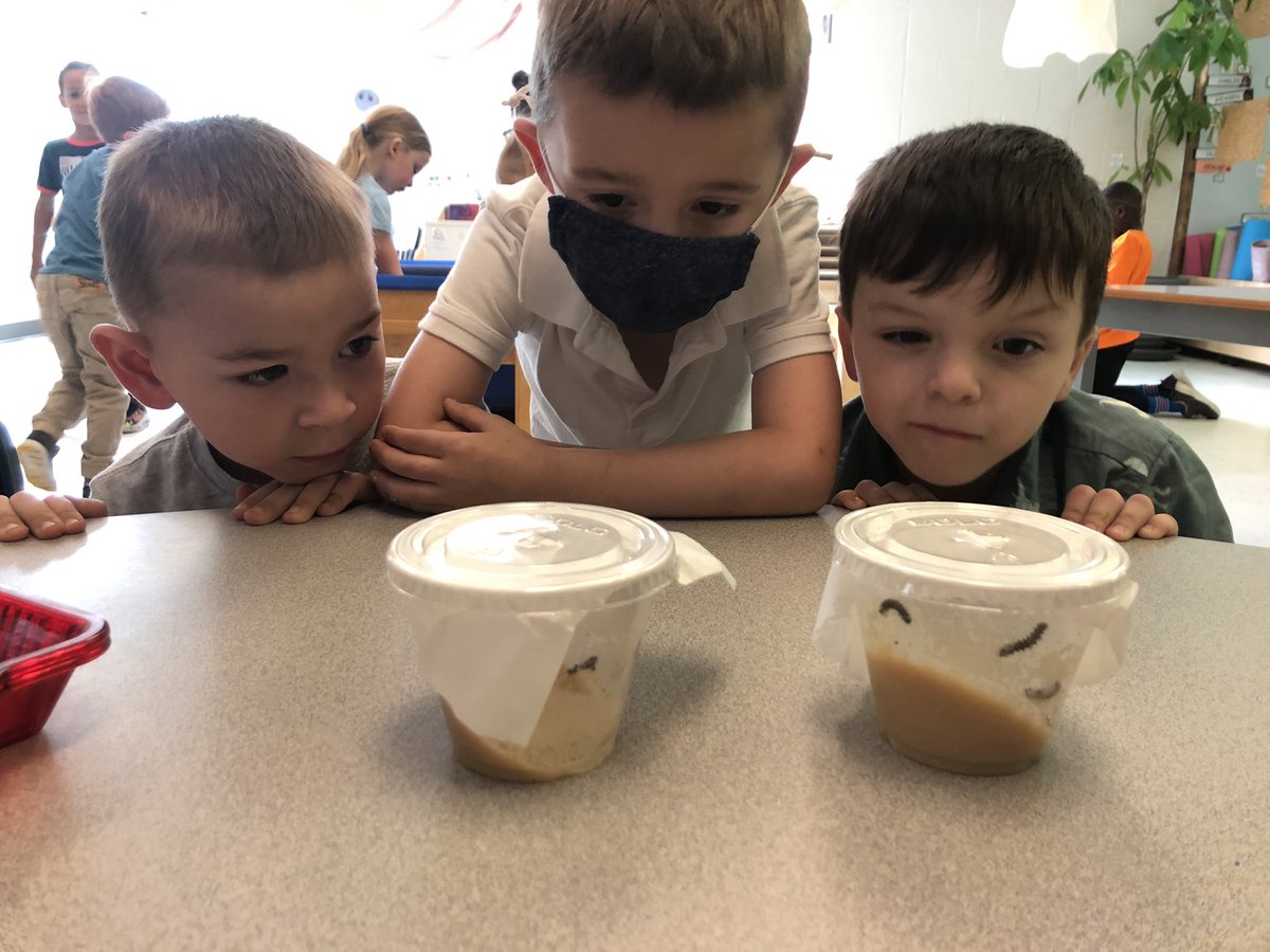 Miss E Adami - (she/her/elle) tweet media