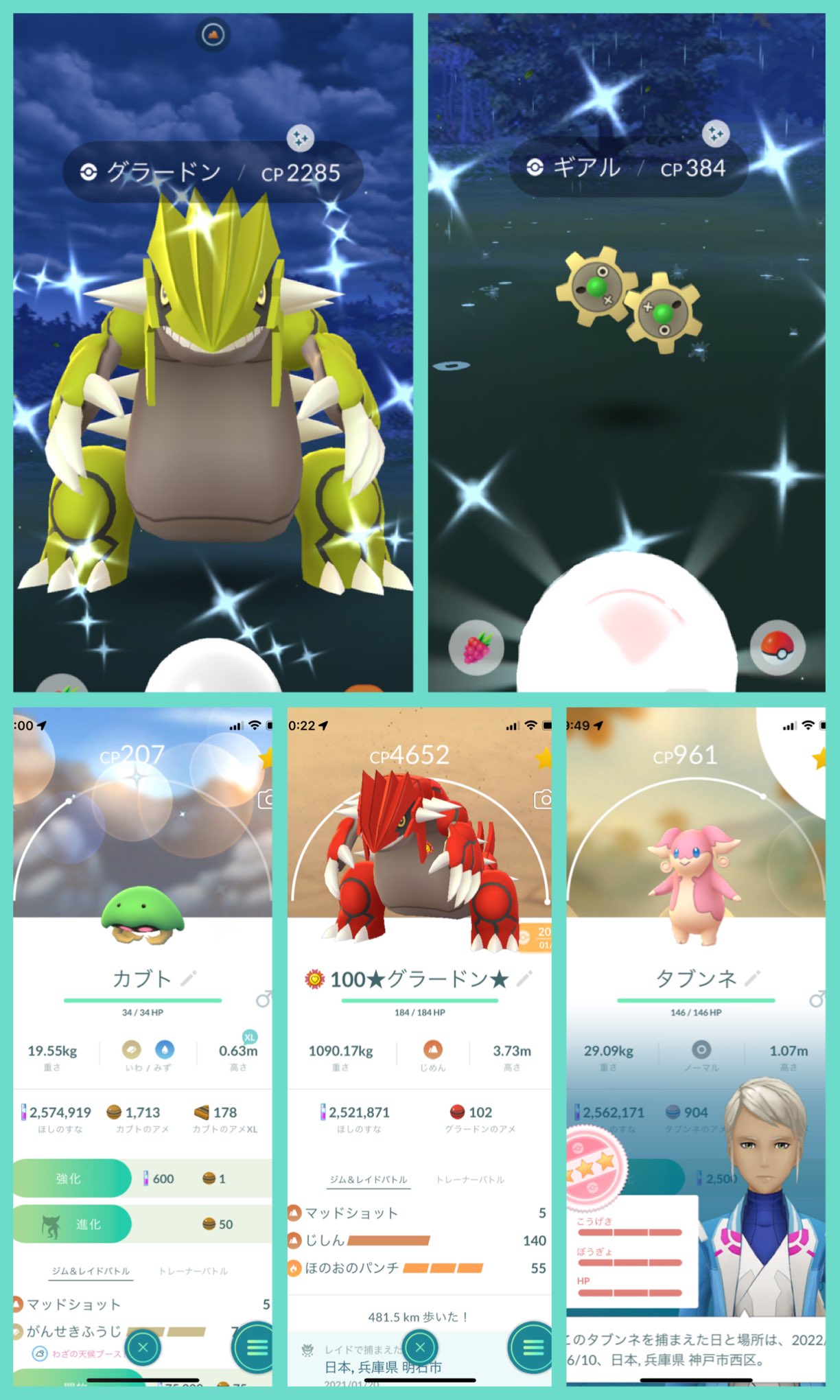 Minton Poteton ポケモンgo おはようございます グラードン3匹目 ギアル5匹目 お初の カブト 100のタブンネ グラードン100max強化なり ポケモンgo 色違いグラードン カブト 個体値100 Max強化 T
